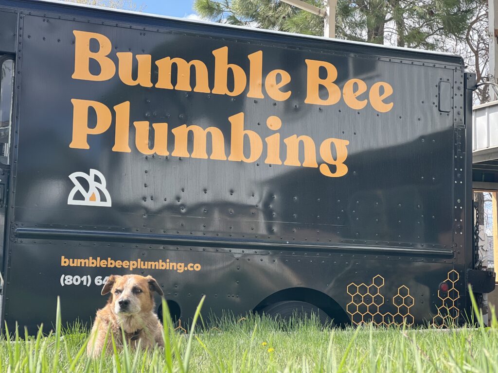 Bumble Bee Plumbing truck
